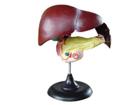 SD-093 33216�Ρ�ʮ��֬�c�����Kģ��